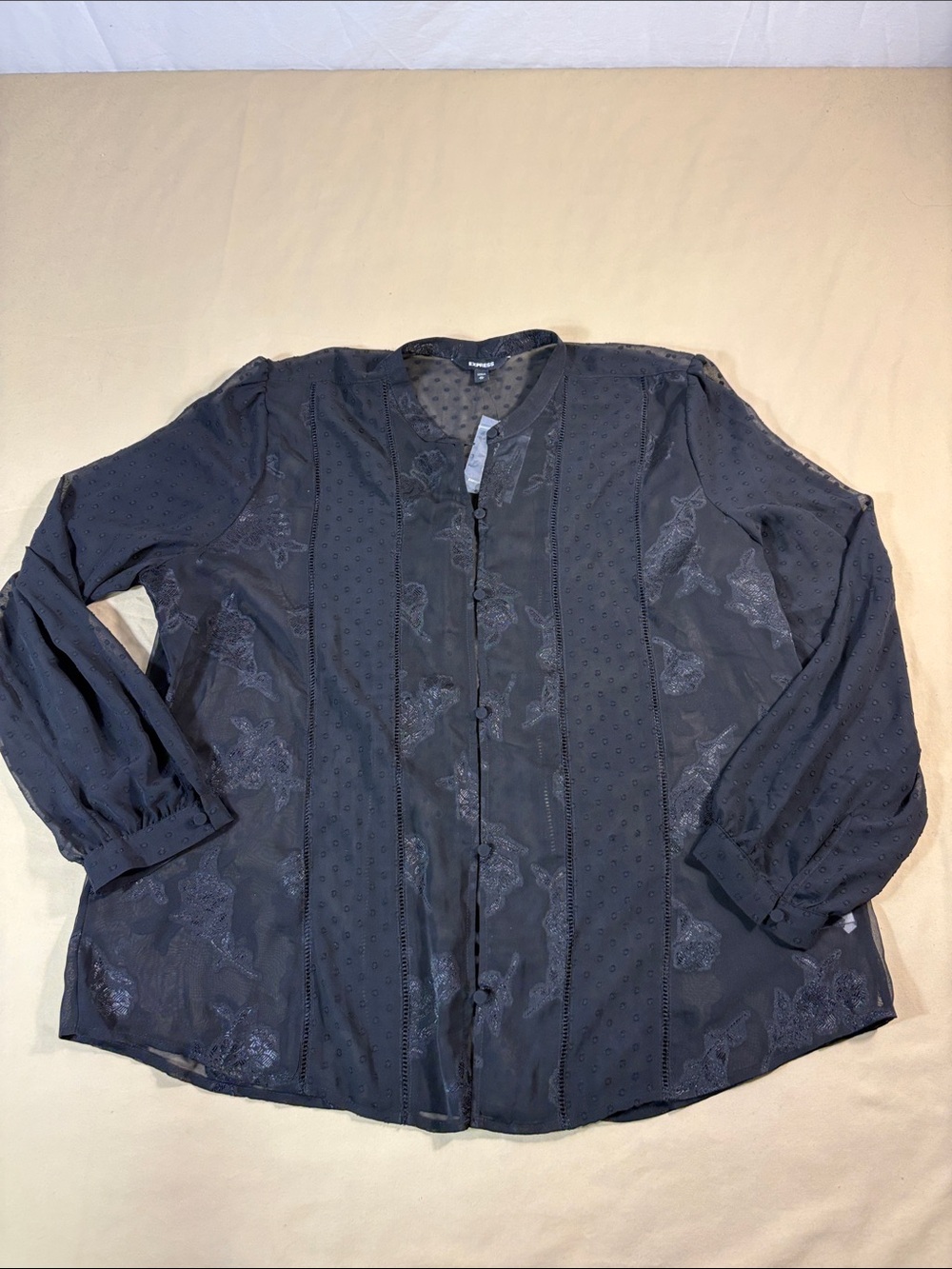 Express XL Black Sheer Dobby Polka Dot Blouse Floral Embroidered Top Shirt NWT